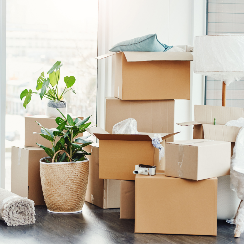 Downsizing: Remove These 50 Things Without Too Much Thought